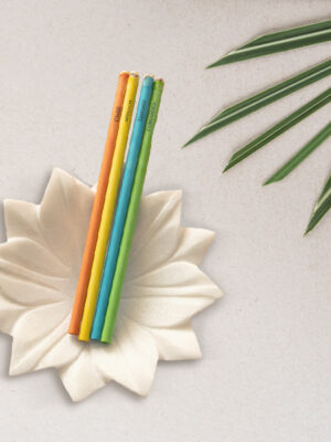 Eco-Friendly Seed Pencil | Plantable Biodegradable Pencils With Seeds | Sustainable Wood-Free Writing Pencils For Gifting & School Use