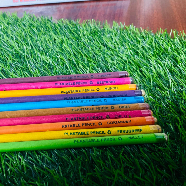Eco-Friendly Seed Pencil | Plantable Biodegradable Pencils With Seeds | Sustainable Wood-Free Writing Pencils For Gifting & School Use