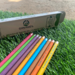 Eco-Friendly Seed Pencil | Plantable Biodegradable Pencils With Seeds | Sustainable Wood-Free Writing Pencils For Gifting & School Use